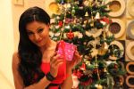 Veena Malik Celebrating Christmas on 20th Dec 2012 (9).JPG